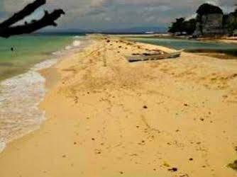 Pamilacan Island Tourist Inn And Restaurant Bohol Exteriör bild
